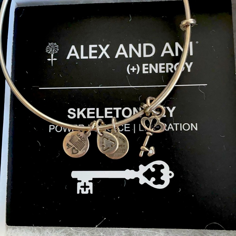 Alex and Ani Skeleton Key bracelet